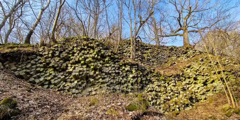 Sechseckige Basaltsäulen der Basaltprismenwand am Gangolfsberg