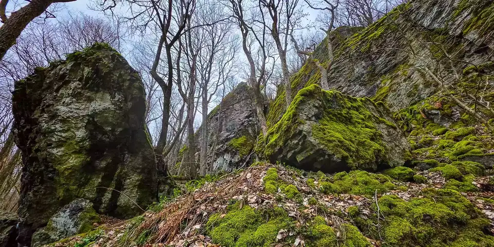 Moosbewachsene Basaltfelsen am Teufelskeller